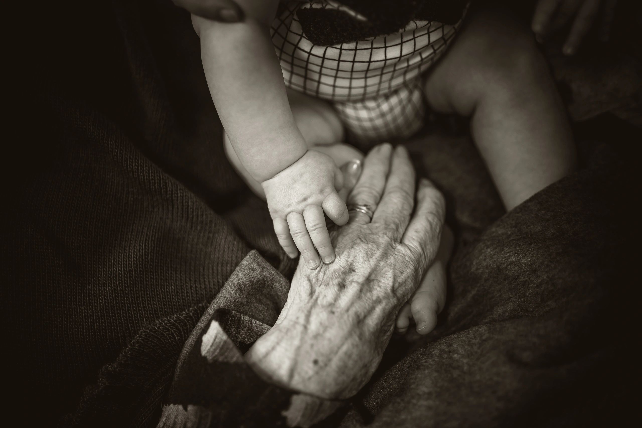 Multiple generations joining hands together